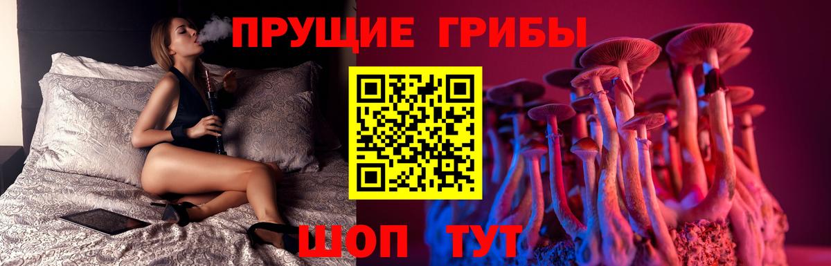Псилоцибиновые грибы MAGIC MUSHROOMS  Псилоцибиновые грибы Psilocybine cubensis  Вход с VPN  Рязань 
